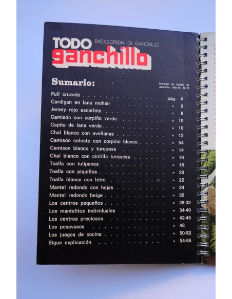 Todo ganchillo. Año IV, nº 25