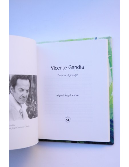 Vicente Gandía. Invocar el paisaje