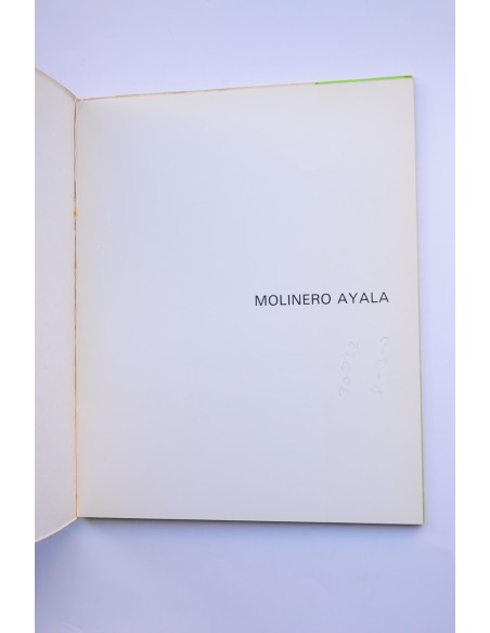 Molinero Ayala. Catálogo de exposiciones, 1984