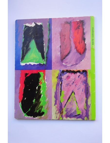 Molinero Ayala. Catálogo de exposiciones, 1984