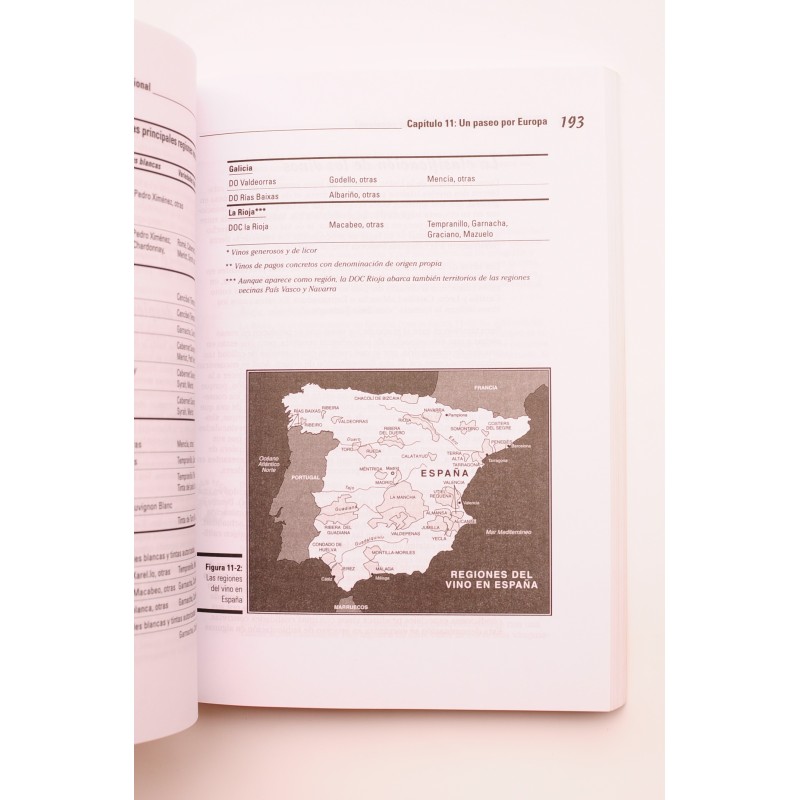 Vino para dummies