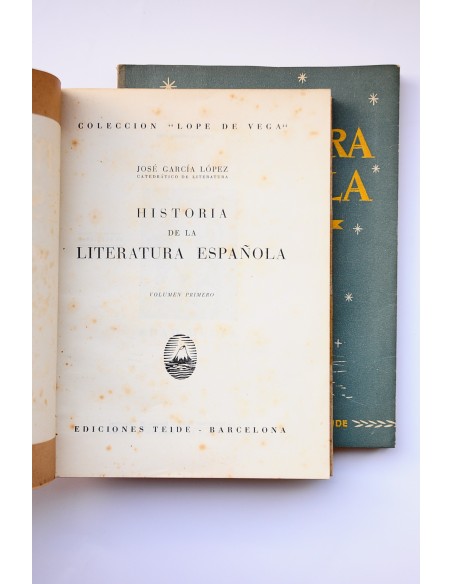 Historia de la literatura española