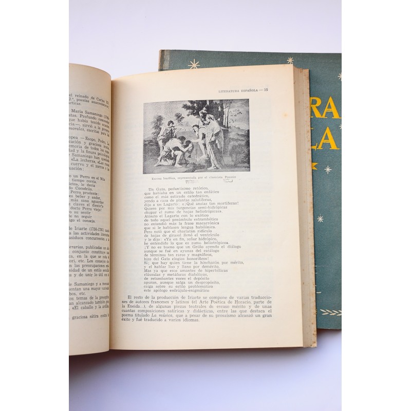 Historia de la literatura española
