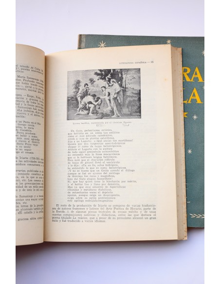 Historia de la literatura española