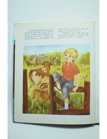 Cuentos de Enid Blyton