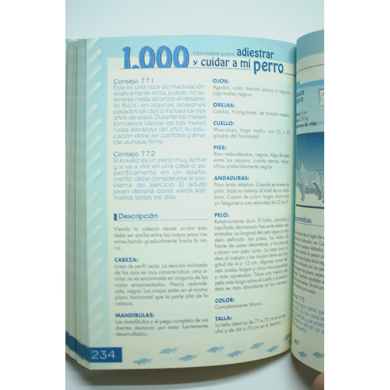 Los 1000 trucos para adiestrar y educar a mi perro