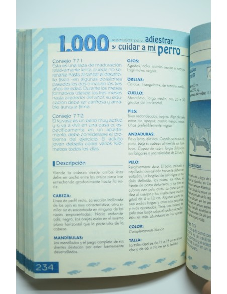 Los 1000 trucos para adiestrar y educar a mi perro