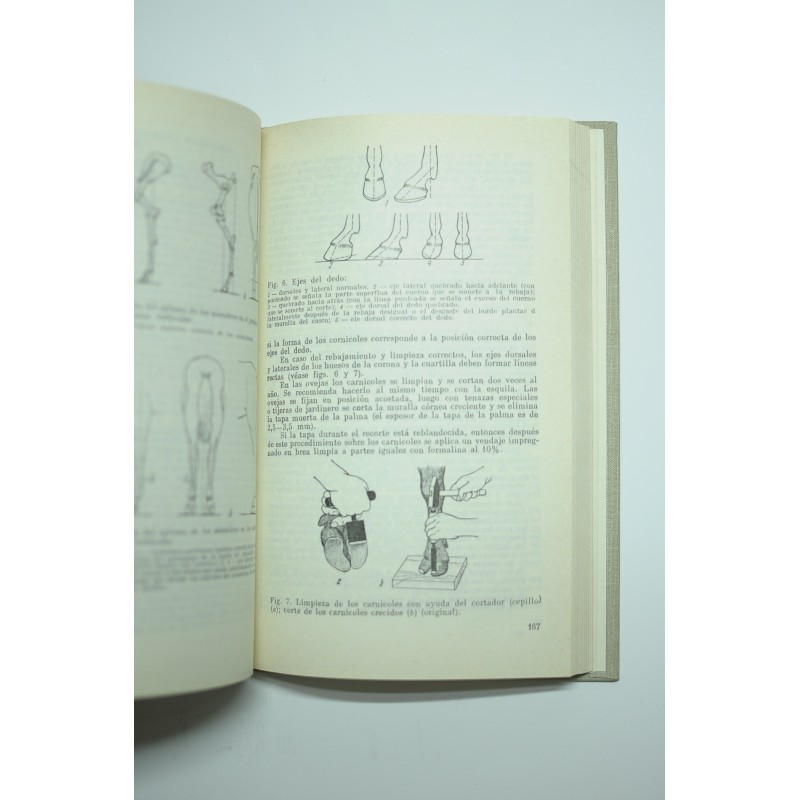 Manual de cirugía veterinaria