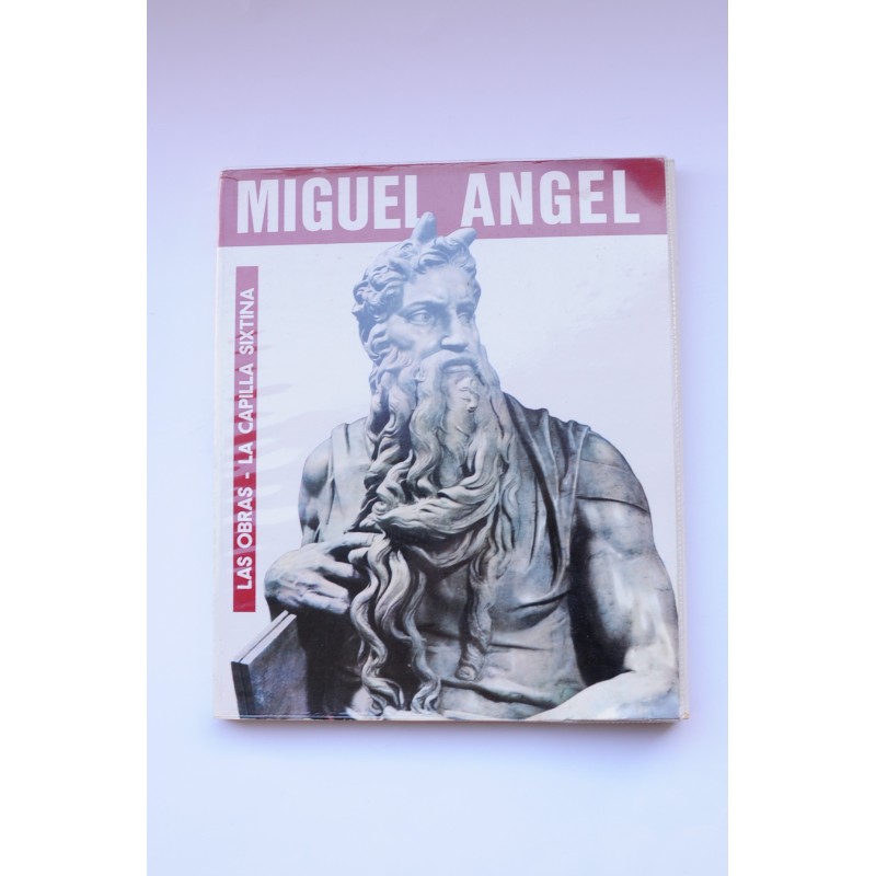 Miguel Angel : las obras, la Capilla Sixtina