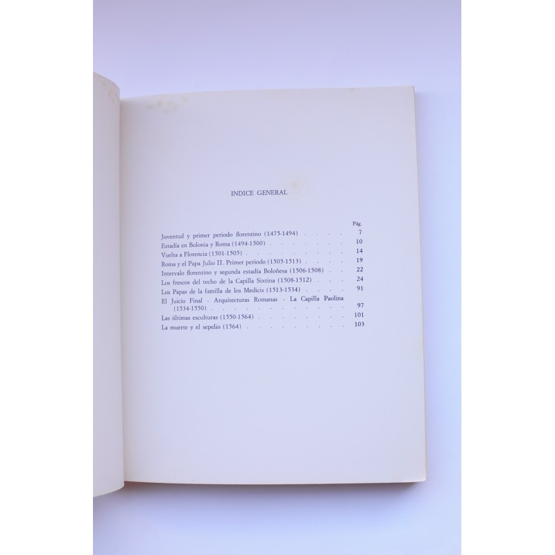 Miguel Angel : las obras, la Capilla Sixtina