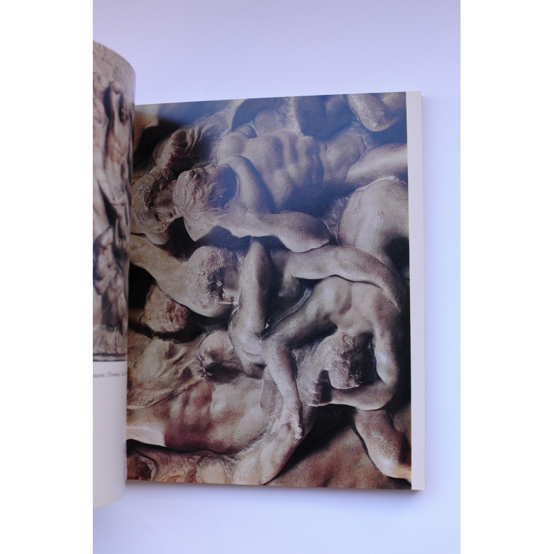 Miguel Angel : las obras, la Capilla Sixtina