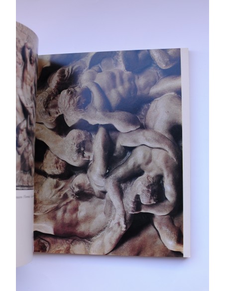 Miguel Angel : las obras, la Capilla Sixtina