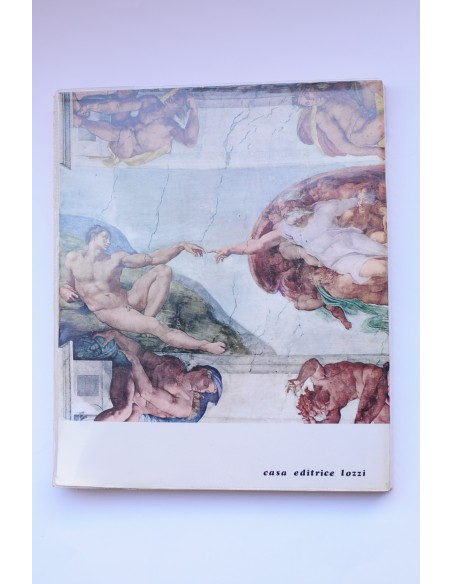 Miguel Angel : las obras, la Capilla Sixtina