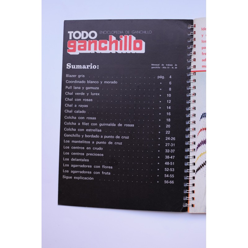 Todo ganchillo. Año IV, nº 20