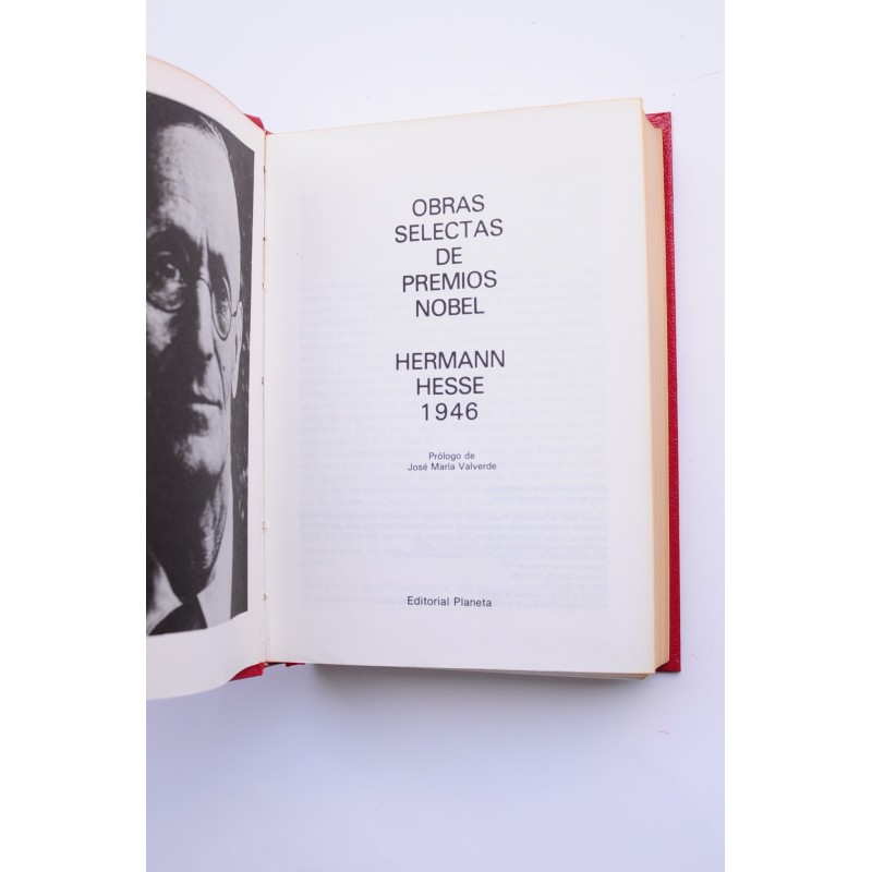 Obras selectas de premios Nobel. Hermann Hesse