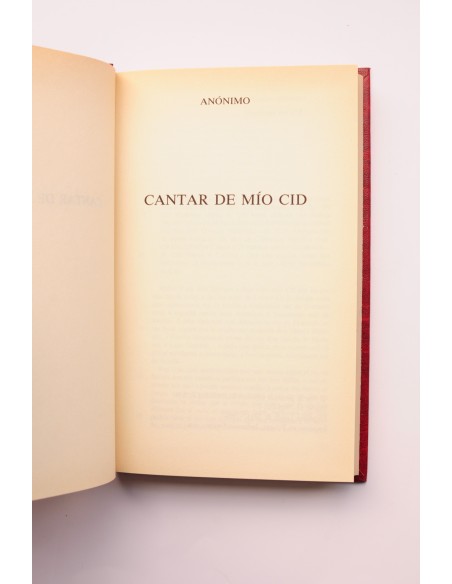 Cantar del Mio Cid