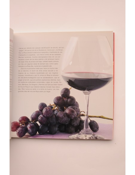 Las rutas del vino en España. La Rioja. Rioja Alta, Rioja Baja