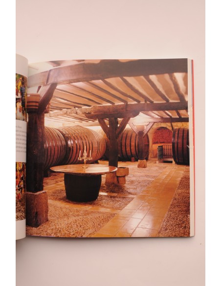 Las rutas del vino en España. La Rioja. Rioja Alta, Rioja Baja