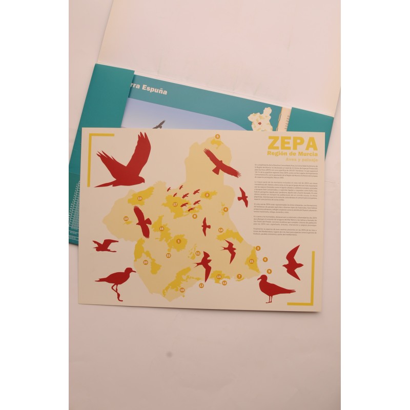 Zepa de la Región de Murcia. Aves y paisaje