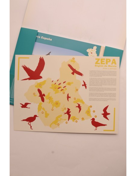 Zepa de la Región de Murcia. Aves y paisaje