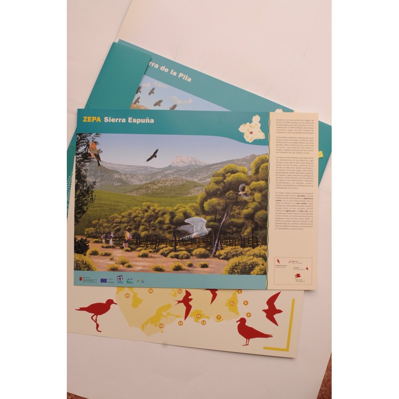Zepa de la Región de Murcia. Aves y paisaje