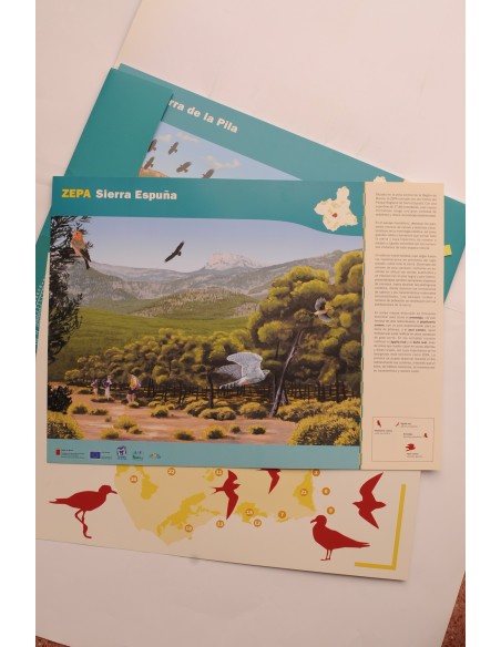 Zepa de la Región de Murcia. Aves y paisaje