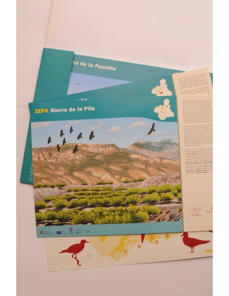 Zepa de la Región de Murcia. Aves y paisaje