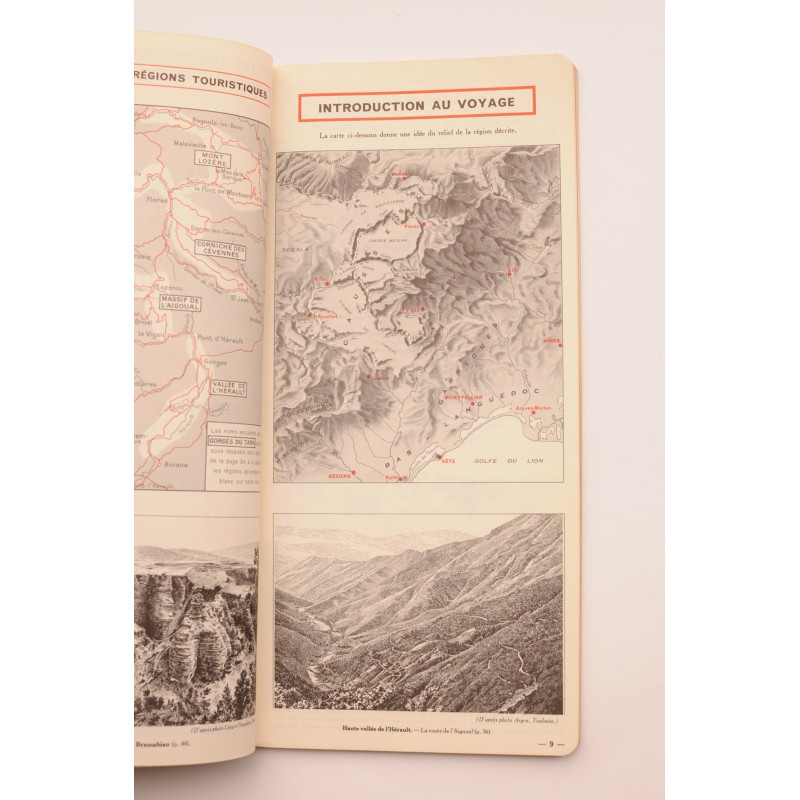 Georges du Tarn. Cévenes, Bas Languedoc. Guías...