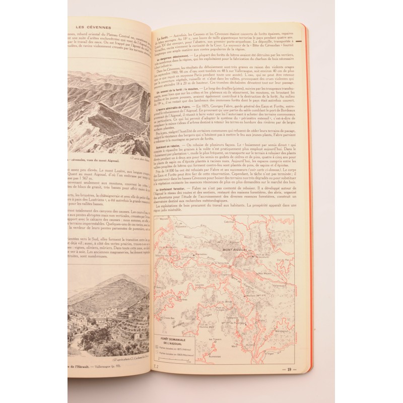 Georges du Tarn. Cévenes, Bas Languedoc. Guías...