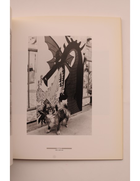 Murcia Joven 91. Fotografía