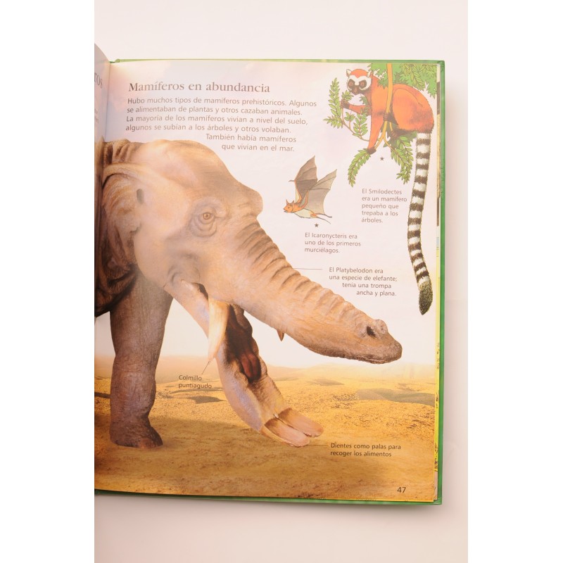 Mi primera enciclopedia de dinosaurios y el...