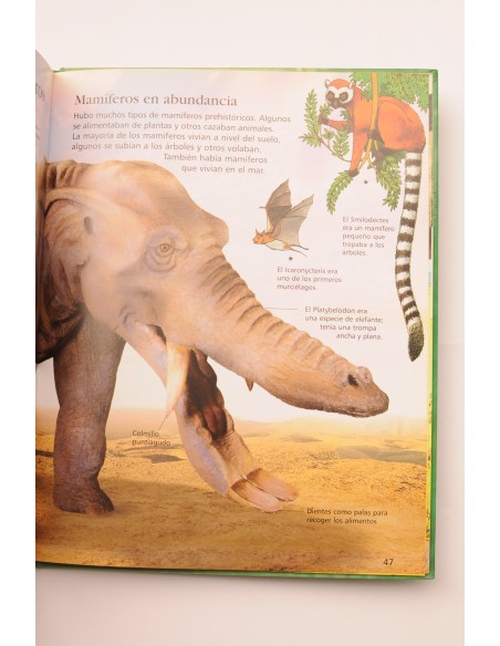 Mi primera enciclopedia de dinosaurios y el mundo prehistórico