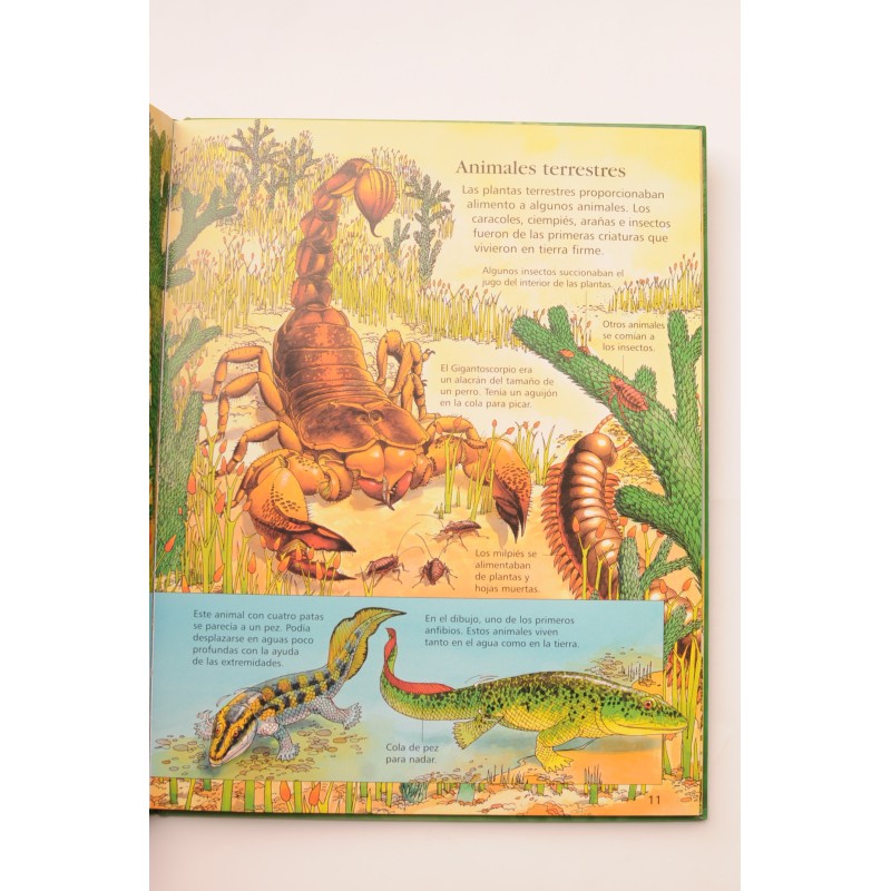 Mi primera enciclopedia de dinosaurios y el...
