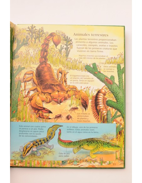 Mi primera enciclopedia de dinosaurios y el mundo prehistórico