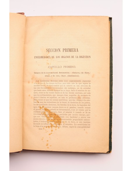 Tratado de patología especial. Terapéutica veterinaria. Tomo I