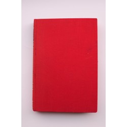 El ángel enfurecido