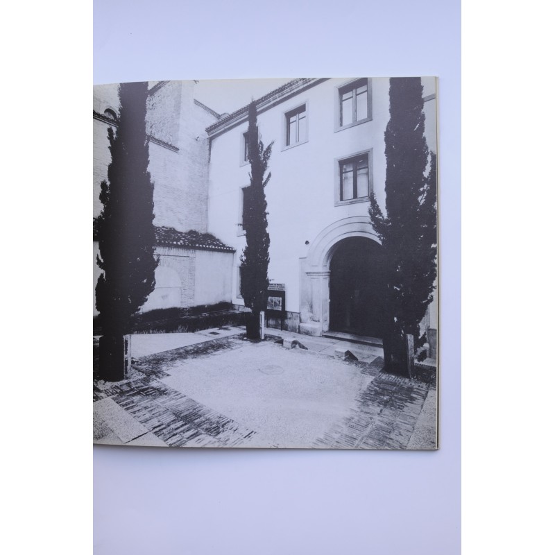 El quinto sentido del pájaro carpintero