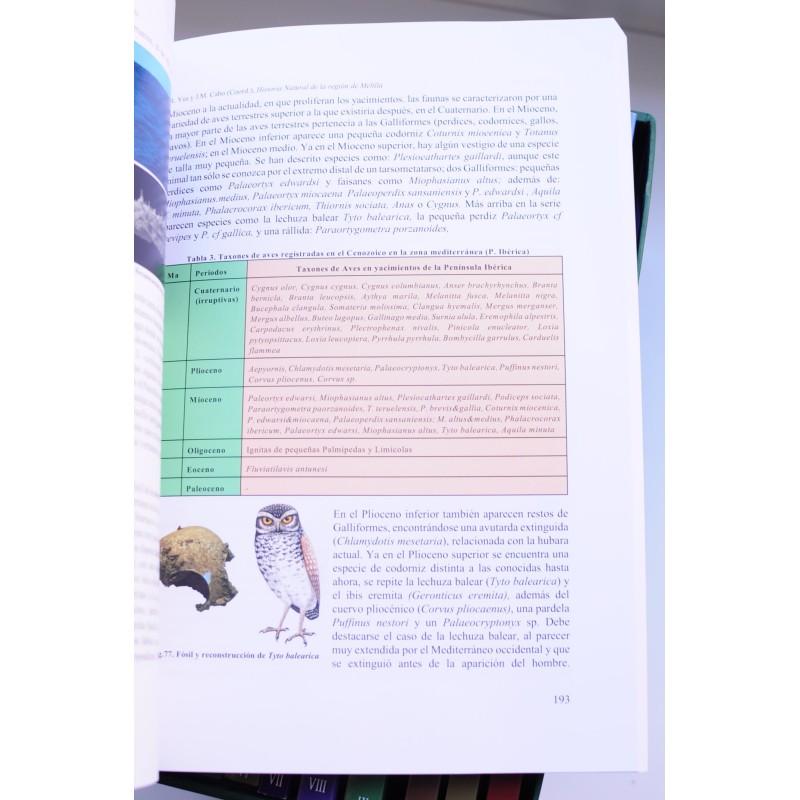 Historia natural de la Región de Melilla....