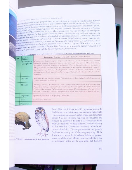 Historia natural de la Región de Melilla. Guelaya, Alborán y Chafarinas