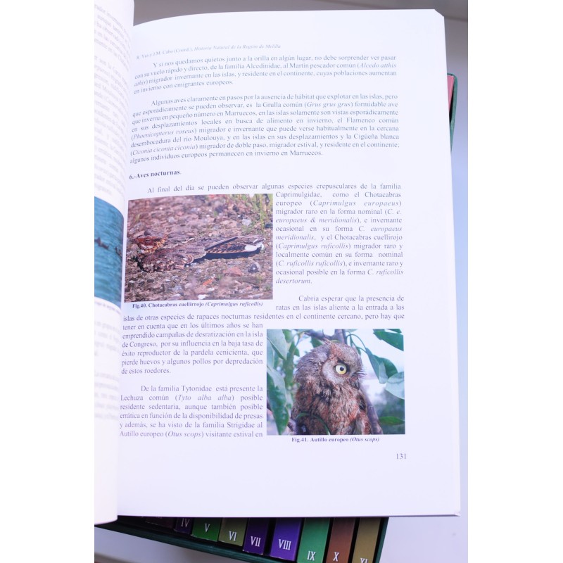 Historia natural de la Región de Melilla....