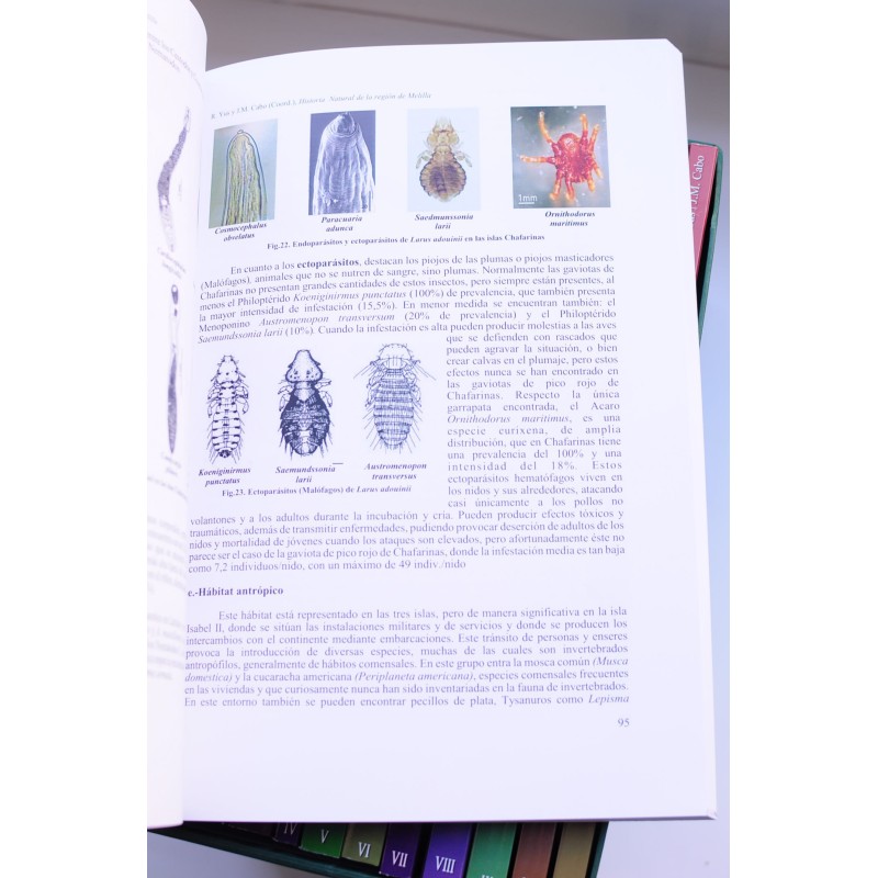 Historia natural de la Región de Melilla....