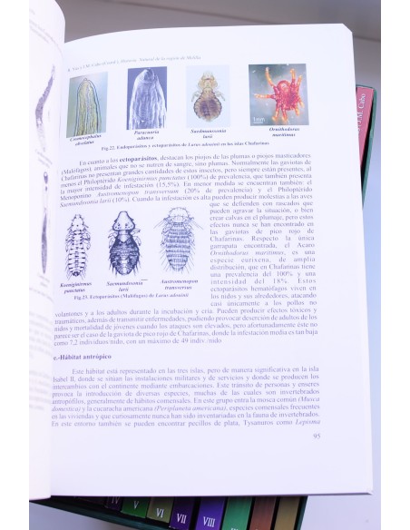 Historia natural de la Región de Melilla. Guelaya, Alborán y Chafarinas