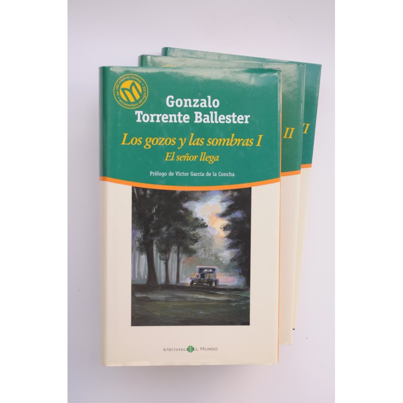 Los gozos y las sombras
