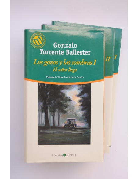 Los gozos y las sombras