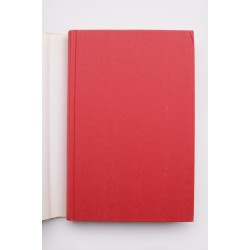 La joven de las rosas 2