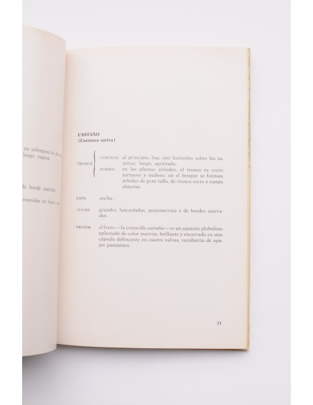 El gran libro de las setas