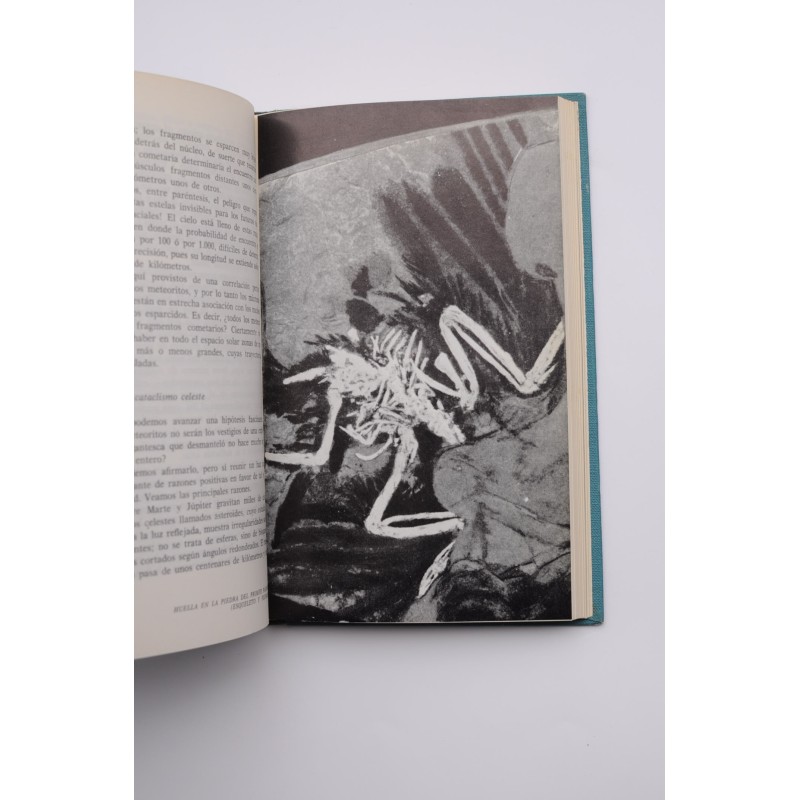 El universo al descubierto : de uno a otro...