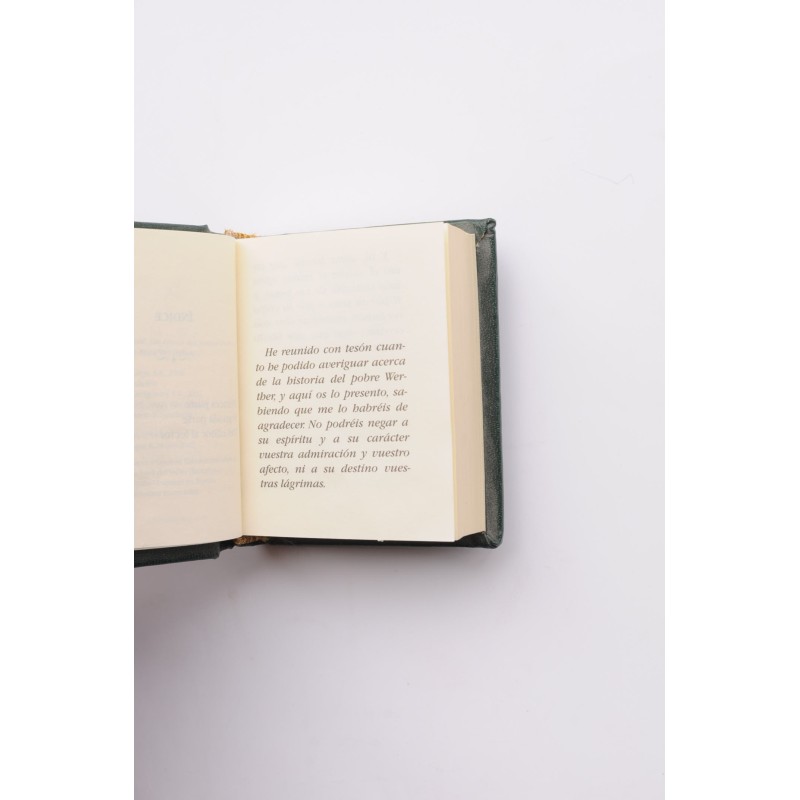 Las penas del joven Werther