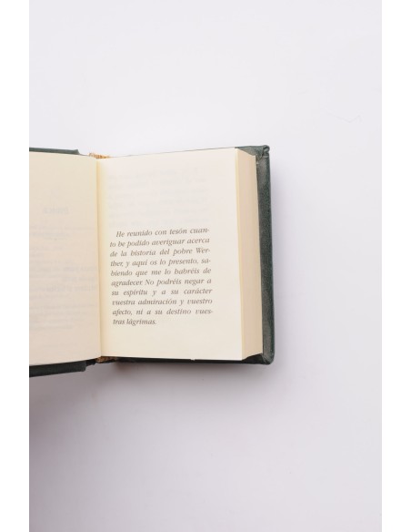 Las penas del joven Werther