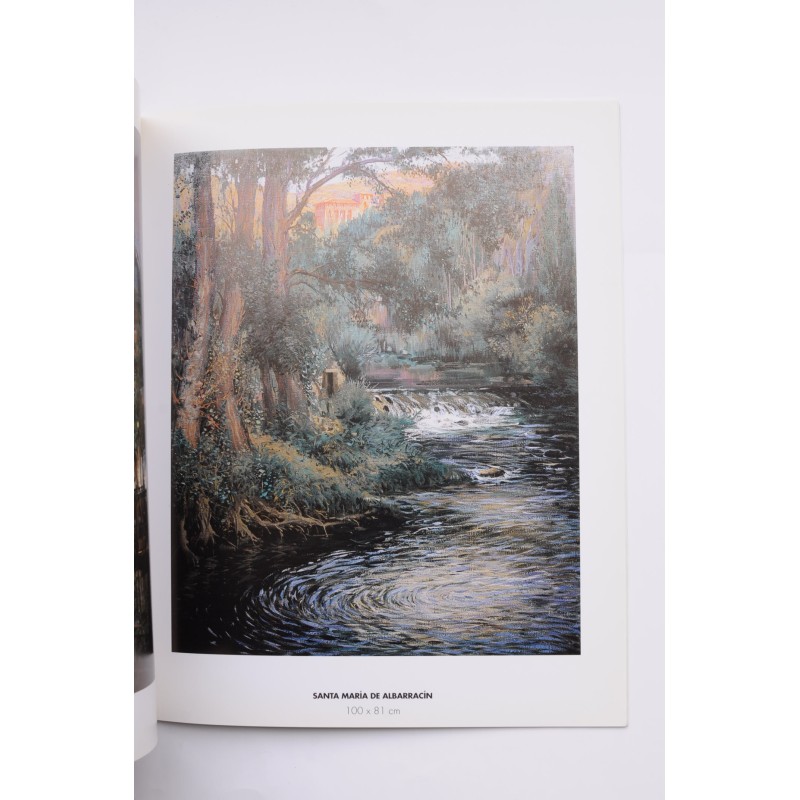 Vicente Armiñana. Exposición de pintura